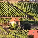 Nissmitz No.32 * Freyburg