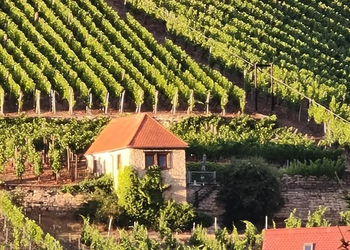 Nissmitz No.32 * Freyburg